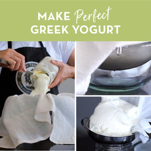 greek yogurt starter