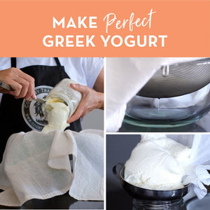 greek yogurt culture