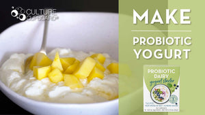 yogurt starter culture probiotic