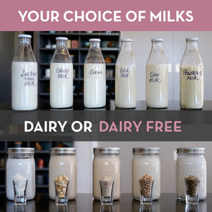 dairy free yogurt maker